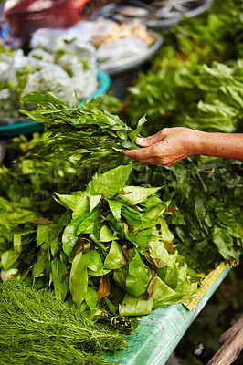 Buy stock photo Person hands, vegetables market and herbs for shopping, healthy food choice and discount, sale or groceries at local store. Customer with basil, green plants or leaves for commerce and small business