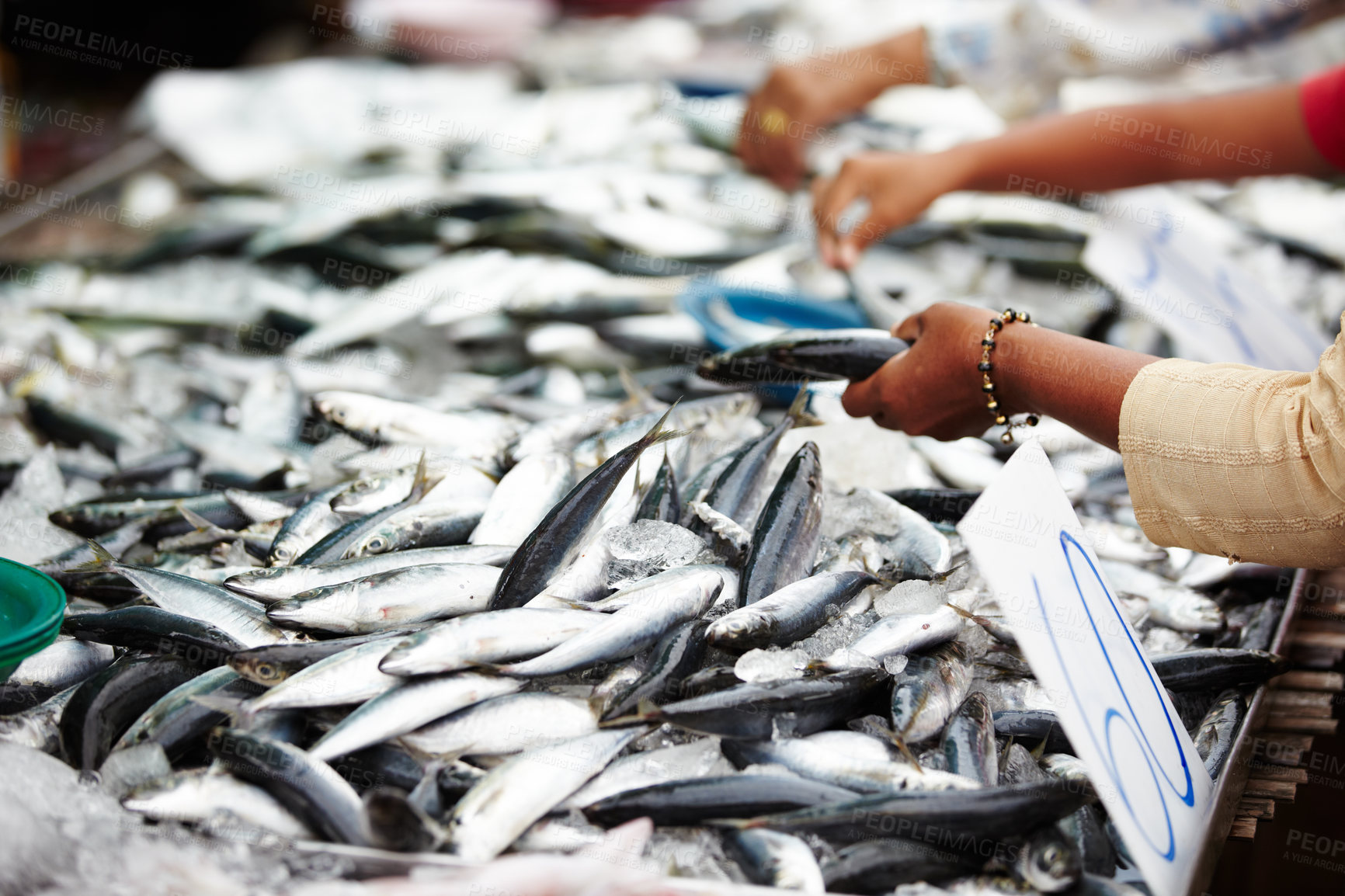 Buy stock photo Closeup of a woman holding a freshly caught fish at a market stall