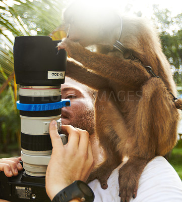 Buy stock photo Camera, monkey and man photographer at a zoo for travel, experience or freedom in nature. Lens, check and curious animal in a forest with traveling guy for wildlife photography adventure in Indonesia