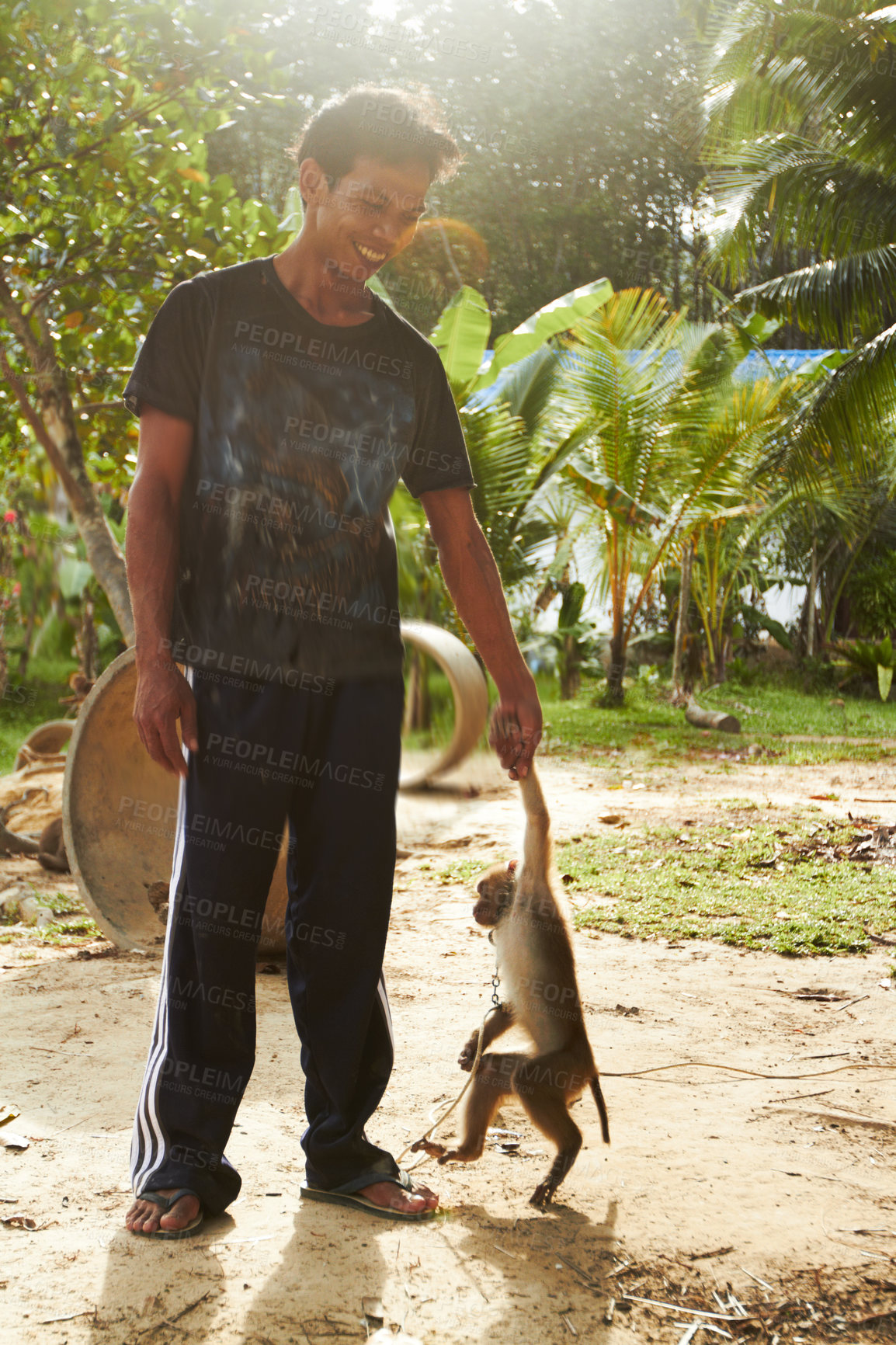 Buy stock photo Smile, man with monkey and pet holding hands at forest, jungle and outdoor in nature in summer. Person, friendship and trainer with macaque at park, wilderness and tropical zoo or shelter in Thailand