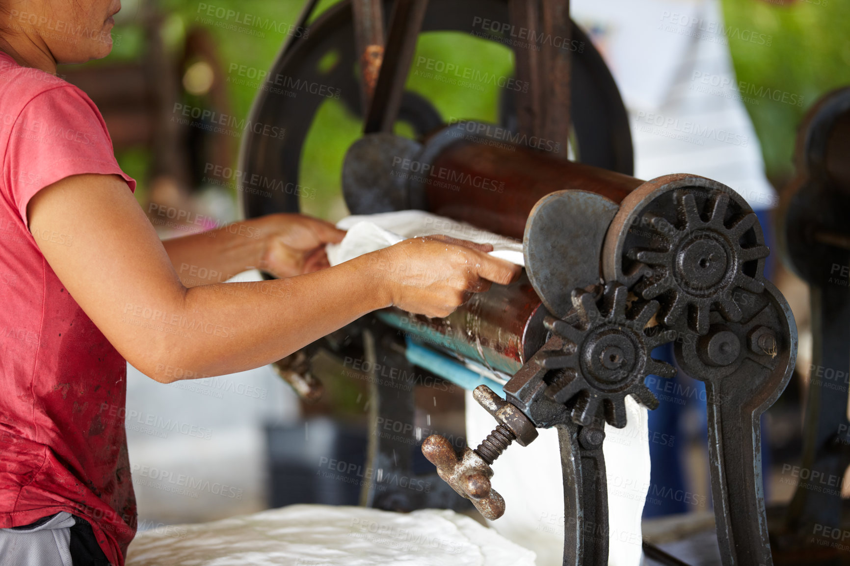 Buy stock photo Rubber, farming and hands of person with roller in workshop, factory and agriculture warehouse. Manufacturing, production with worker machine for rolling latex, plastic and material plantation