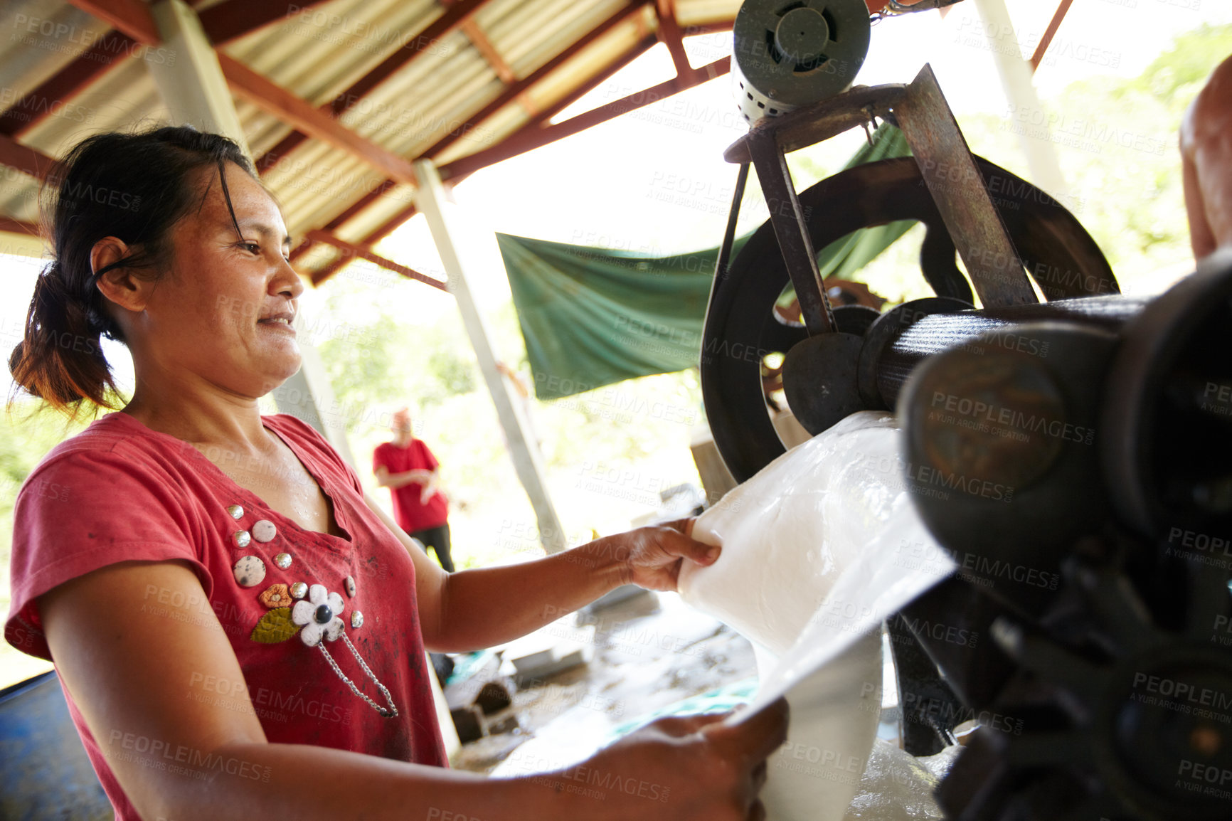 Buy stock photo Rubber, plantation and Asian woman with roller in workshop, factory and outdoor warehouse in nature. Manufacturing, production and person with machine for rolling sheet, plastic and material industry