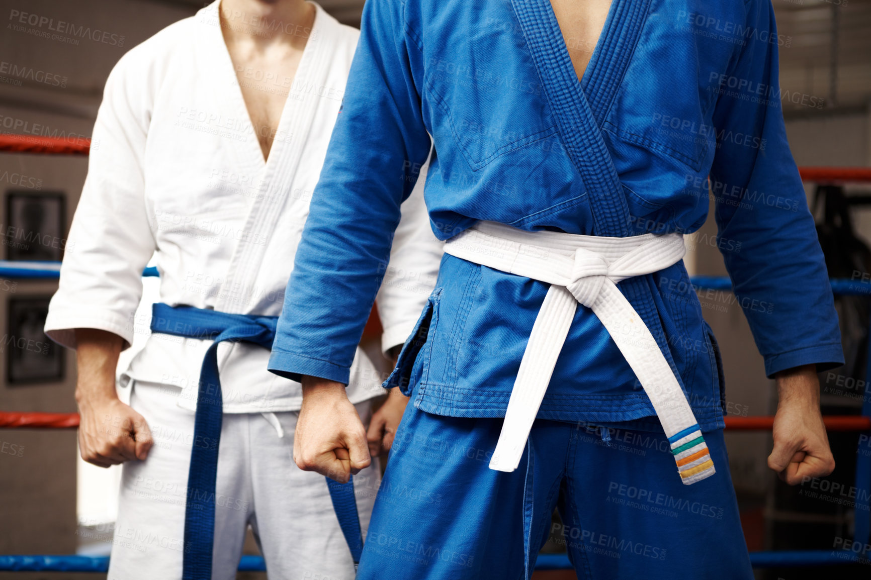 Buy stock photo Cropped shot of a two young martial artists standing in a ring