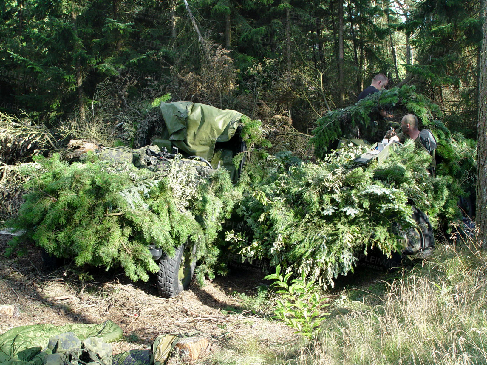 Buy stock photo Forest, war and a military vehicle in camouflage for an attack or ambush during a special forces mission. Nature, army and a car covered in grass in the countryside for training as a soldier