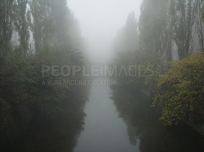 Buy stock photo Autumn trees in a misty forest. A stream or river between tall trees in spooky remote location. Fresh early morning dew in a moist uncultivated woods with yellow fall leaves, lush foliage and a lake