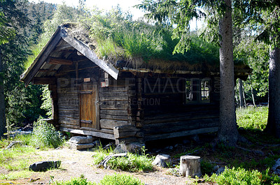 Buy stock photo Moss, log cabin and house in woods, nature or countryside outdoor in spring. Home, forest and chalet, rustic cottage or vintage architecture in field, landscape environment and trees, grass or plants