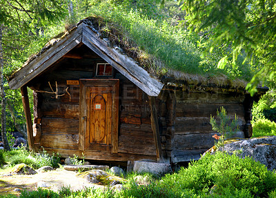 Buy stock photo An old mountainside log cabin between lush trees, shrubs, and grass in Norway. Secluded chalet in the woods on a sunny day. Cottage for camping, getting away and closer to nature. House in a forest 