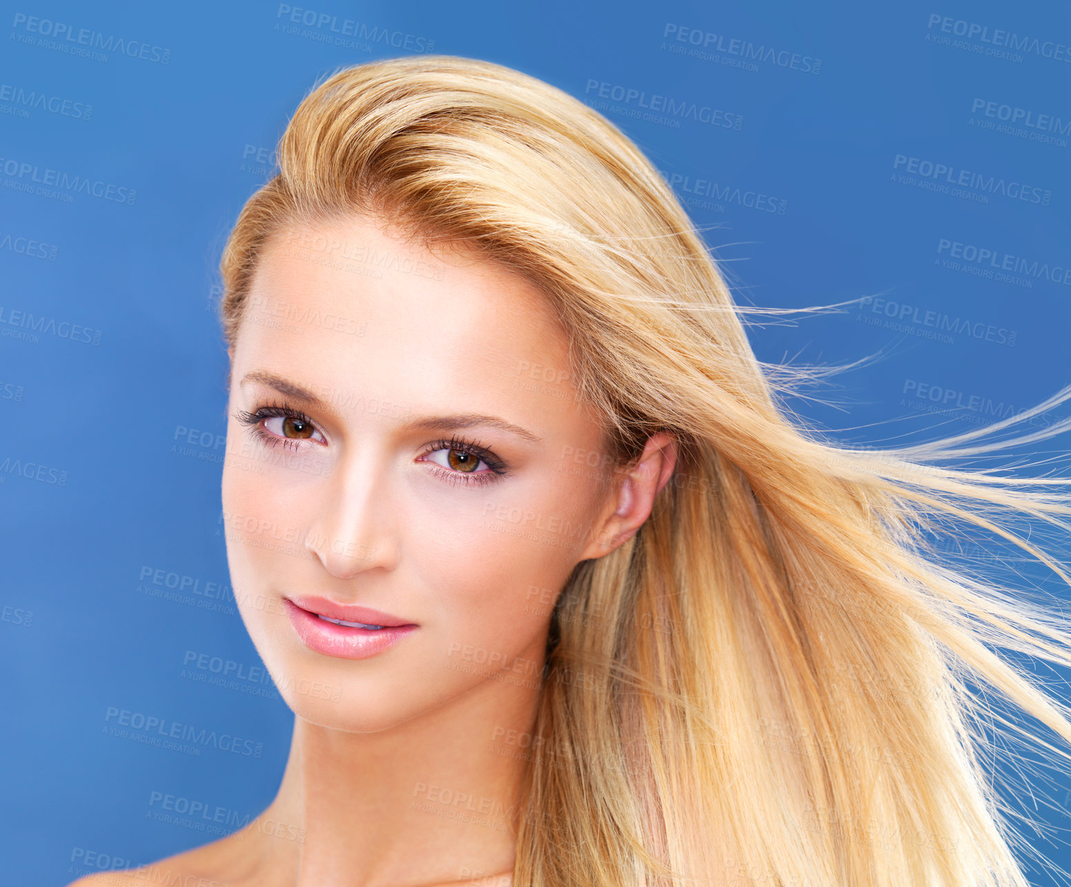 Buy stock photo Portrait, beauty and wind of a woman closeup in studio on a blue background for natural wellness or cosmetics. Face, skincare and shampoo for hair with a young model at the salon for dermatology