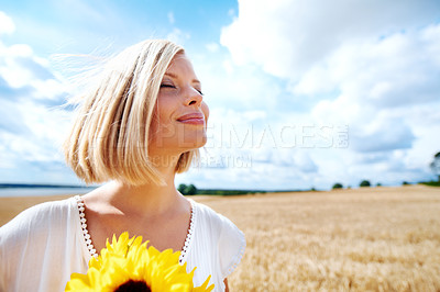 Buy stock photo Freedom, relax and calm woman with a sunflower on a wheat field for travel or vacation. Peace, face and female person in nature with a flower in nature for holiday, journey or adventure outdoor