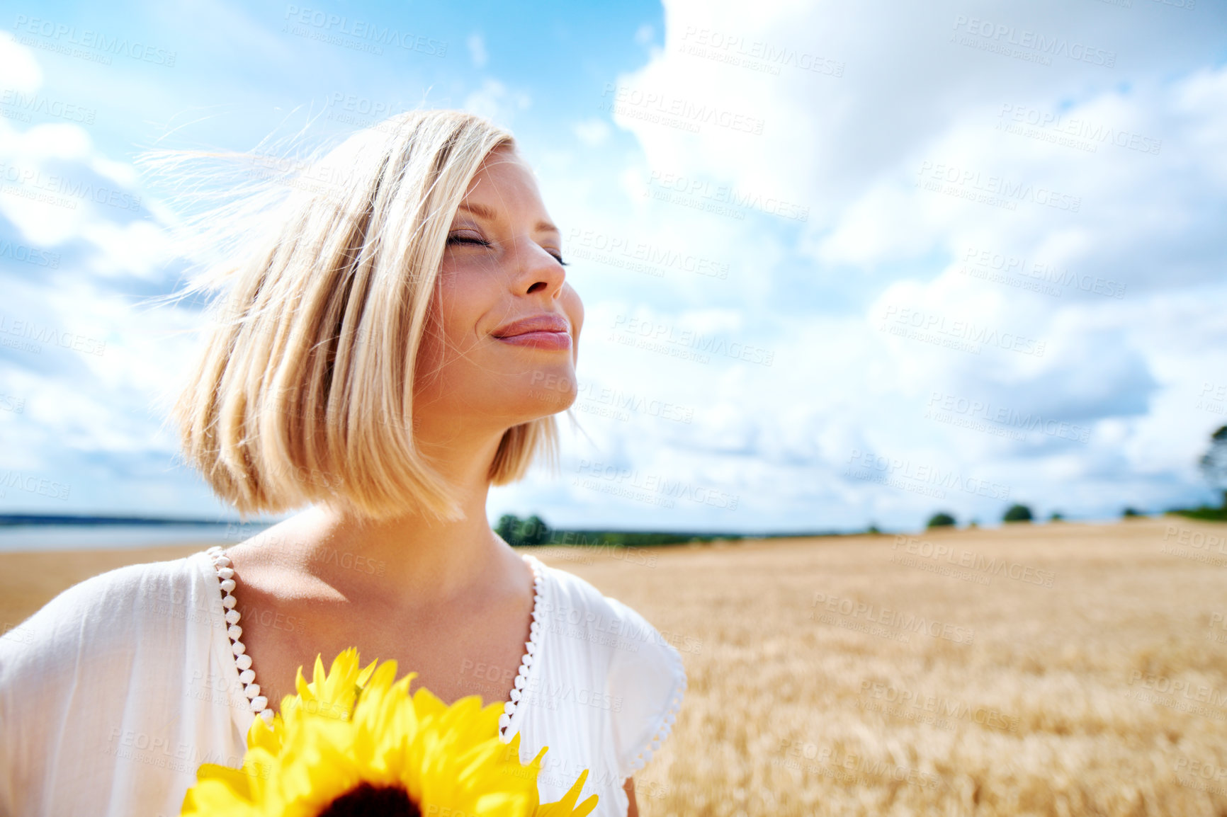 Buy stock photo Freedom, relax and calm woman with a sunflower on a wheat field for travel or vacation. Peace, face and female person in nature with a flower in nature for holiday, journey or adventure outdoor
