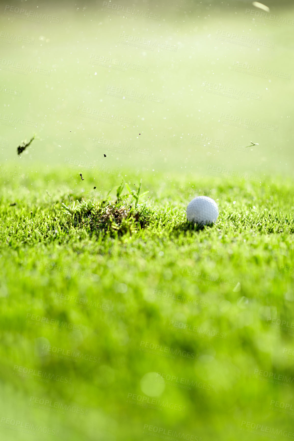 Buy stock photo Grass, sports and a ball for golf on a course for a game, competition or training. Fitness, turf and a missed shot on a lawn for professional sport, hobby or recreation on a field for an activity