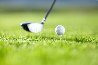 Buy stock photo A golf club about to tee-off with a white ball on a golf course