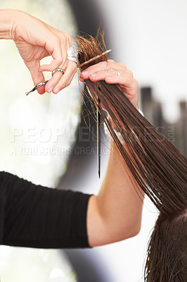Buy stock photo Cropped image of a woman&#039;s hair being cut at the hairdresser