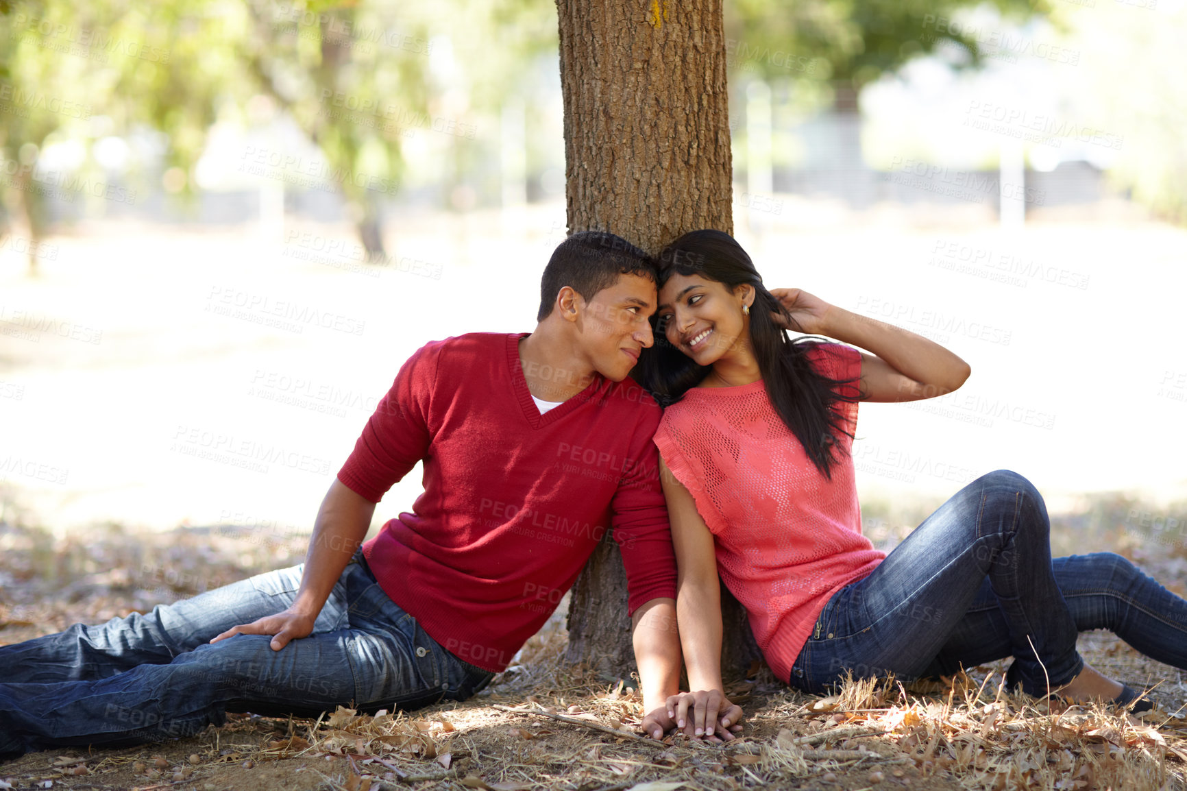 Buy stock photo Shot of an affectionate young couple sitting together under a tree in the park
