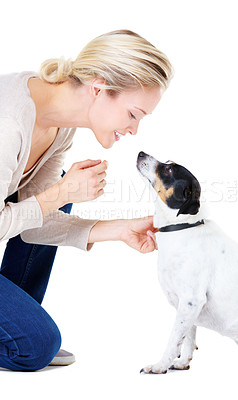 Buy stock photo Woman, teaching and studio with jack russell dog for silence, learning and care by white background. Girl, animal or pet puppy with command, training and loyalty on floor for domestic education