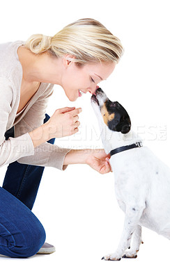 Buy stock photo Woman, kiss and studio with jack russell dog for adoption, learning or care by white background. Girl, animal or pet puppy with bonding, training and kindness for loyalty, floor or domestic education