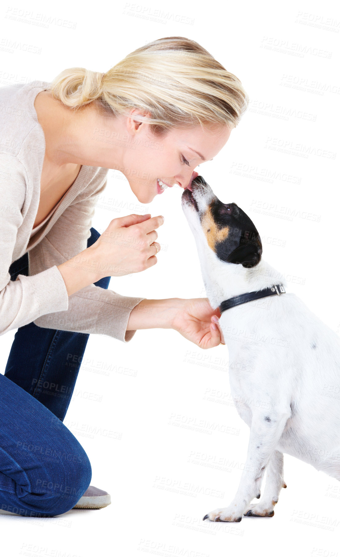 Buy stock photo Woman, kiss and studio with jack russell dog for adoption, learning or care by white background. Girl, animal or pet puppy with bonding, training and kindness for loyalty, floor or domestic education