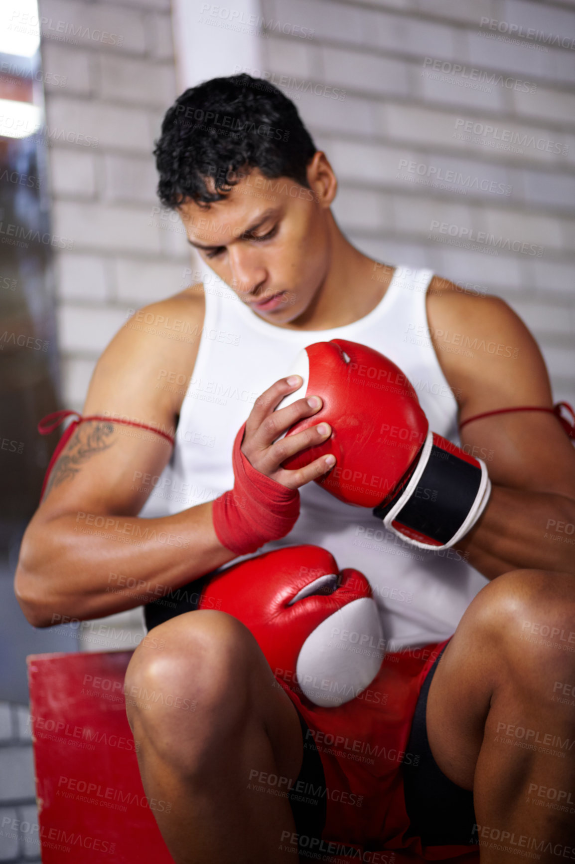 Buy stock photo Gloves, getting ready and a man at a gym for boxing, martial arts training or cardio. Fitness, health and a boxer, fighter or athlete with equipment to start sports, exercise or a workout at a club