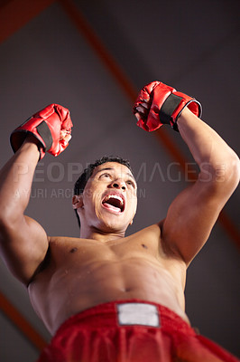 Buy stock photo Celebration, excited and sports man, boxer or fighter happy for gym achievement, success or winning kickboxing contest. MMA winner, below view and warrior celebrate boxing, fight or muay thai victory