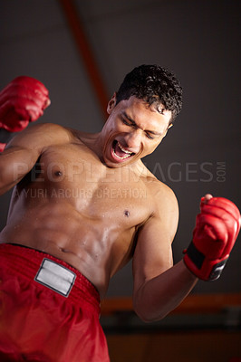 Buy stock photo A young fighter with his arms raised in victory after winning a fight