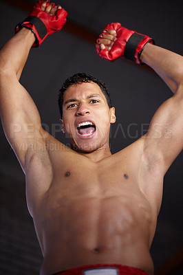 Buy stock photo Celebration portrait, sports and MMA man scream, energy and cheers andfor gym achievement, success or kickboxing champion. Boxing winner, below view and boxer motivation, commitment and fight victory