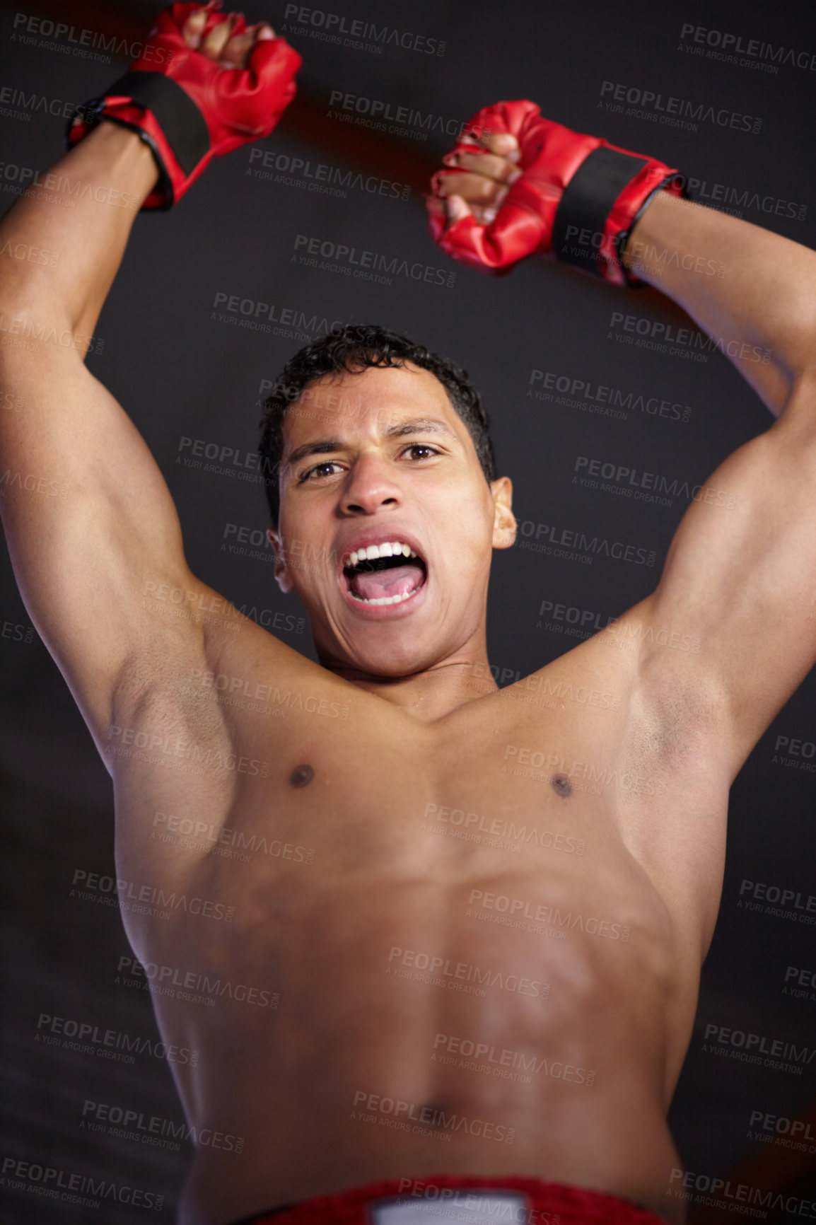 Buy stock photo Celebration portrait, sports and MMA man scream, energy and cheers andfor gym achievement, success or kickboxing champion. Boxing winner, below view and boxer motivation, commitment and fight victory
