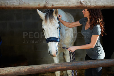 Buy stock photo A young woman brushing her horse in its stable