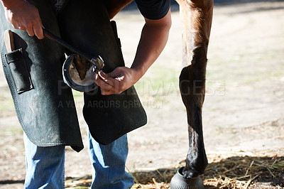 Buy stock photo Farrier man, horse foot and farm with hammer for help, race and speed with tools, care and support. Vet team, equine doctor and healthcare for animal hooves, pet and safety at ranch in countryside