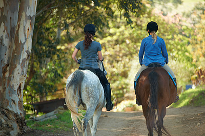 Buy stock photo Rear view of two women riding their horses together