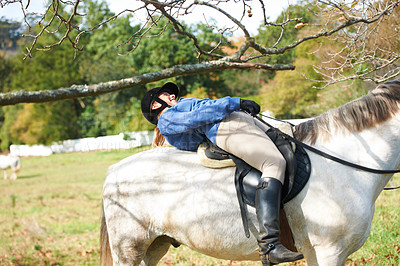 Buy stock photo Tree, branch or woman horse riding in countryside outdoor with rider or jockey for recreation or wellness. Sports, flexible girl or equestrian ducking in training, exercise or workout in farm ranch 