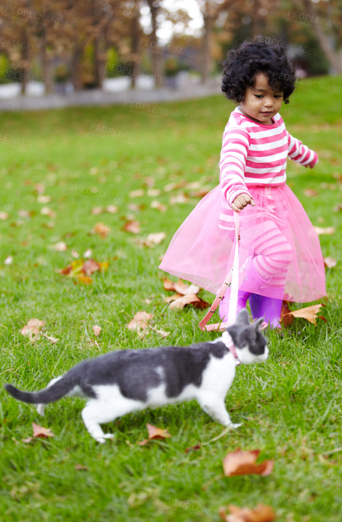 Buy stock photo Nature, walking and girl with kitten in a garden on the grass on a summer weekend together. Happy, sunshine and portrait of child playing and having fun with cat or feline animal pet on lawn in field