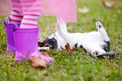 Buy stock photo Kitten, playful and kid on grass in garden for bond, fun or development for curiosity. Girl, dress and pulling by cat while lying in backyard for childhood memory, love and pet care together by home