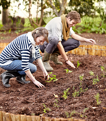 Buy stock photo Happy people, man and woman for planting seeds for growth, organic and vegetable garden for agriculture. Friends, smile and laugh at funny joke for farming with hands in soil, fresh and eco friendly