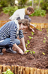 Creating the perfect vegetable garden