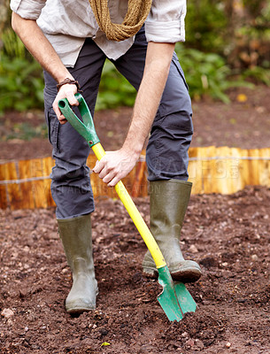 Buy stock photo Hands, shovel and man digging the soil, dirt or ground in garden and backyard. Gardening, agriculture or person with spade to dig on a farm, environment and start of planting in spring or nature