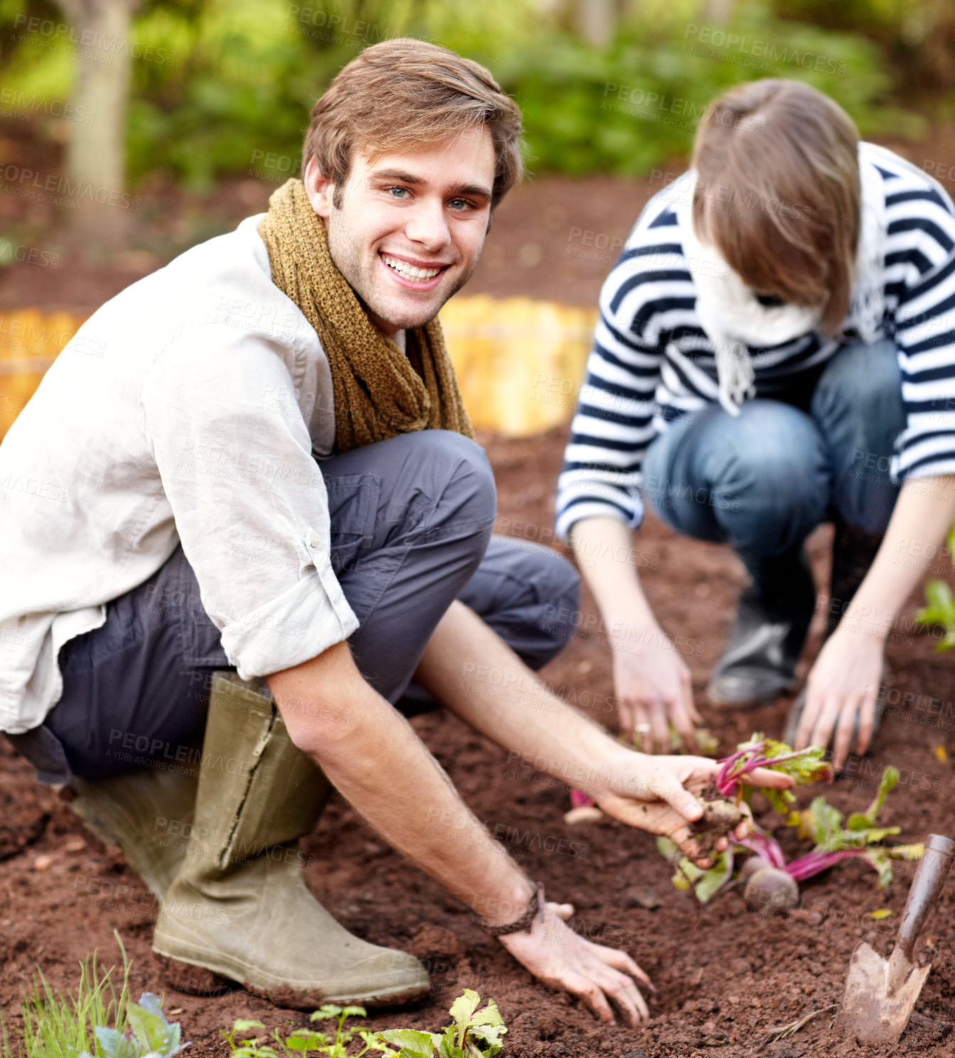 Buy stock photo Vegetable, plant and portrait of couple gardening together in backyard with a harvest. Farming, growth and people working with beetroot and growing plants for sustainable, organic or vegan food