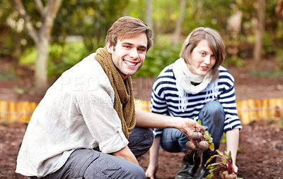 Buy stock photo Plant, vegetable and portrait of couple gardening with together with harvest in backyard. Farming, growth and people working with beetroot and growing plants for sustainable, organic or vegan food