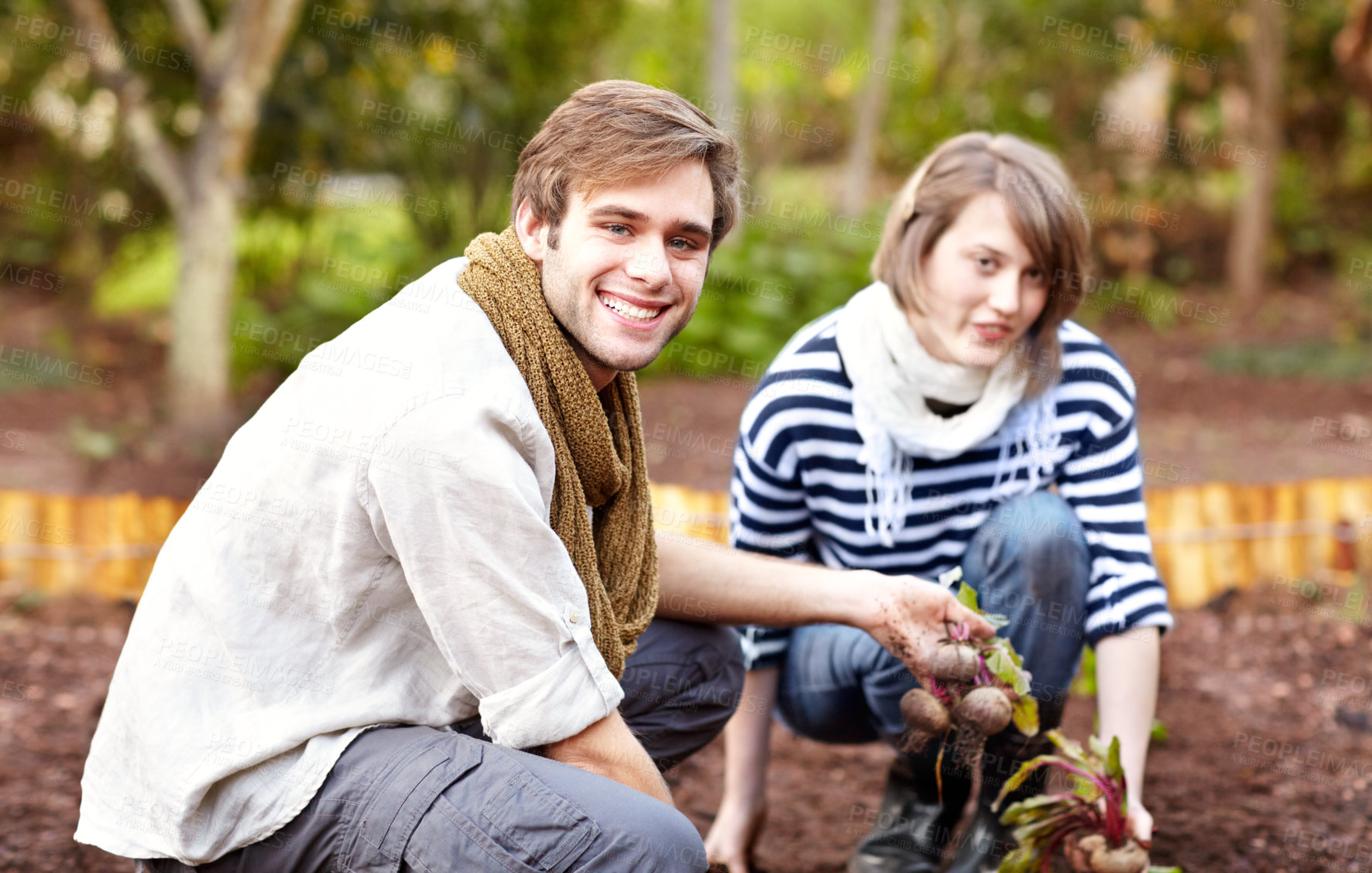 Buy stock photo Plant, vegetable and portrait of couple gardening with together with harvest in backyard. Farming, growth and people working with beetroot and growing plants for sustainable, organic or vegan food