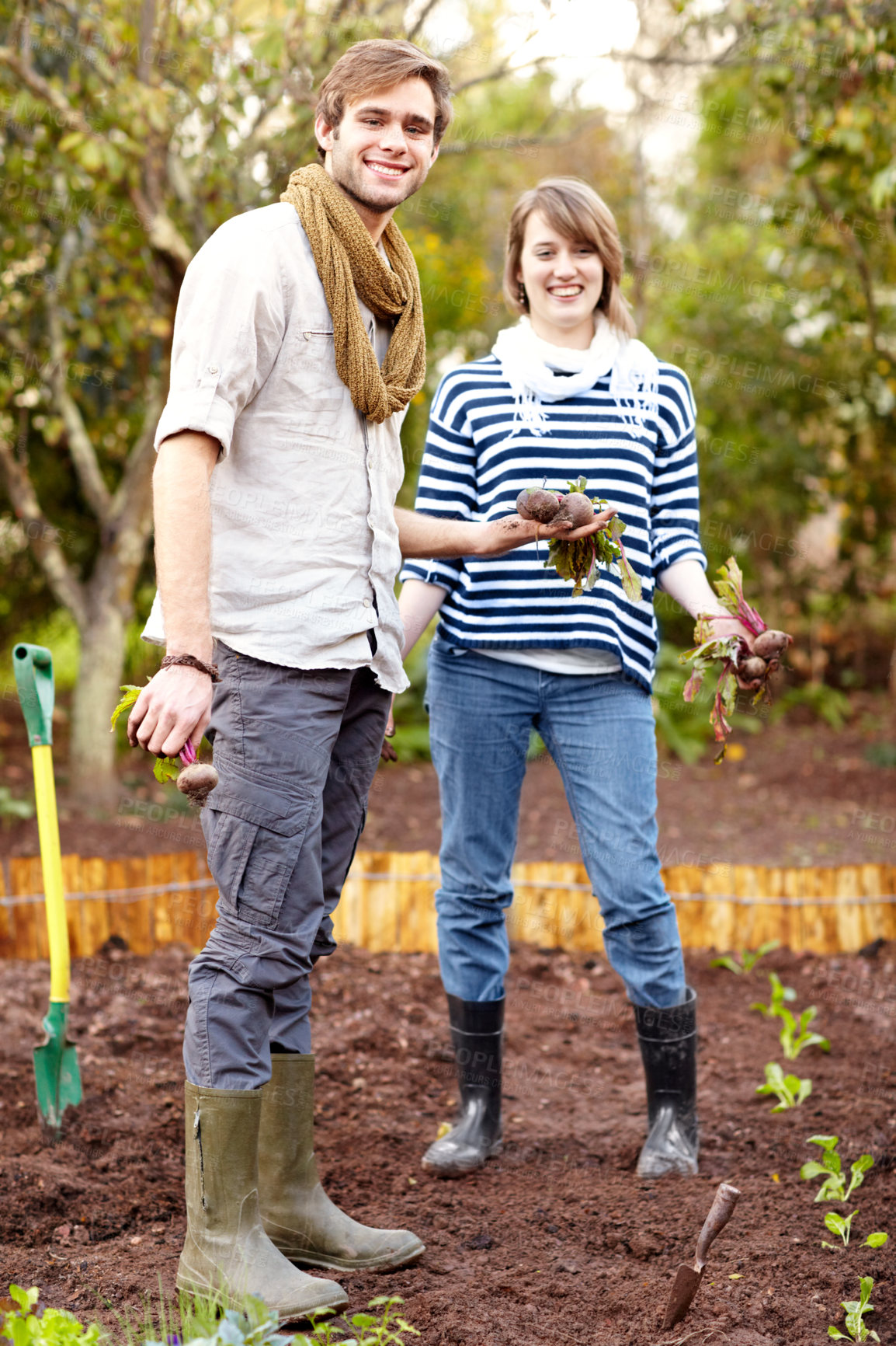 Buy stock photo Plant, vegetables and portrait of couple gardening with together with harvest in backyard. Farming, growth and people working with beetroot and growing plants for sustainable, organic or vegan food