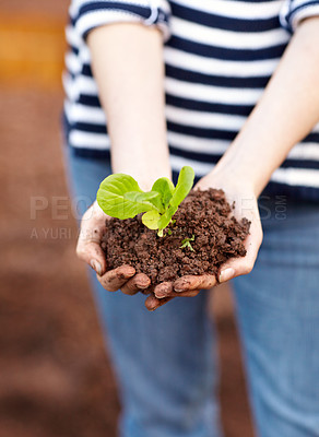 Buy stock photo Plant, soil and hands for hope in growth, sustainable development or care for climate change. Agriculture, earth or fertilizer for sapling in organic produce, vegetable or eco friendly farm for fresh
