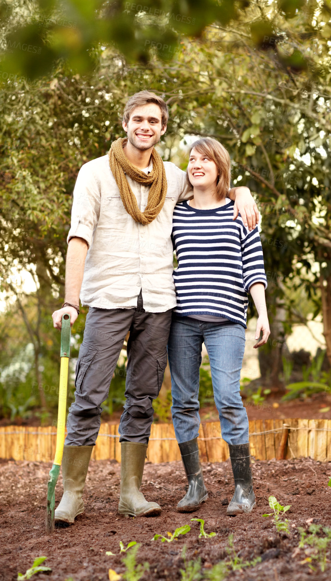 Buy stock photo Plant, vegetables and portrait of happy couple gardening together in backyard or farm. Farming, growth and people working in soil or dirt and growing plants for sustainable, organic or vegan food