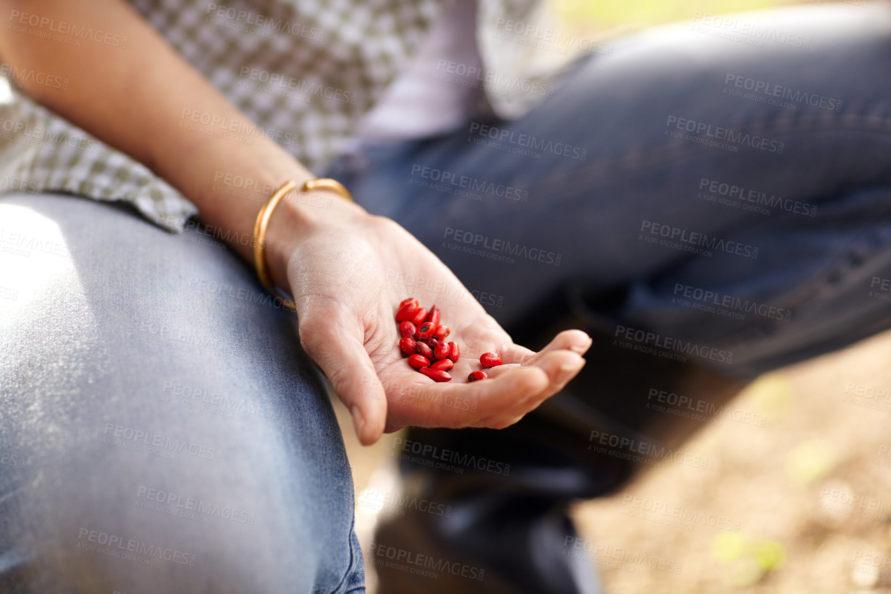 Buy stock photo Woman, hand and seeds outdoor for gardening planting, sustainability or growth vegetable. Female person, arm and farming for eco legumes or green agriculture compost dirt, soil for environment hope