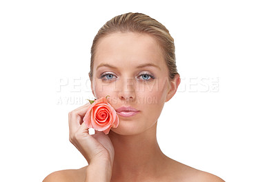 Buy stock photo A young blonde woman holding a pink rose against her cheek