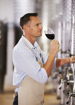 Buy stock photo Wine, manufacturing and aroma with a man smelling a glass in a distillery for production or fermentation. Industry, steel and equipment in a plant, factory or warehouse with a male alcohol maker