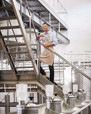 Buy stock photo Portrait, wine and manufacturing with a man in a factory, plant or warehouse for production or fermentation. Industry, steel and equipment with a male manager standing on stairs for making alcohol