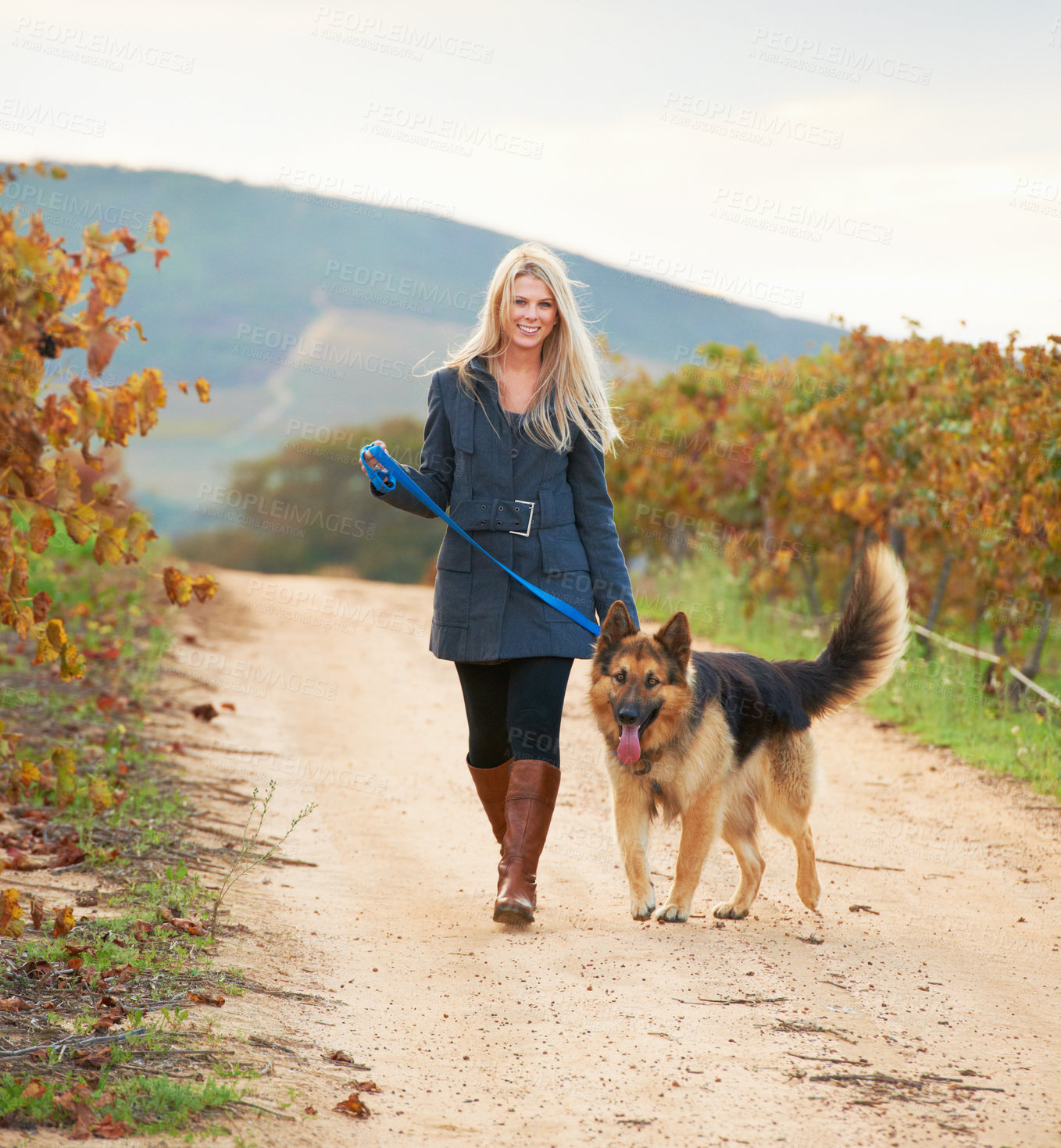 Buy stock photo Portrait of a pretty young woman walking her Alsatian in a vineyard