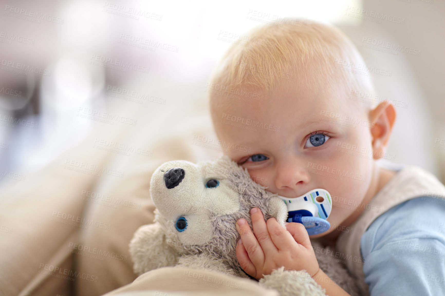 Buy stock photo Cute, relax and portrait of a baby with a toy for comfort, sleep and playing in a house. Adorable, pacifier and a little child with a bear on the living room sofa for calm, relaxing and play
