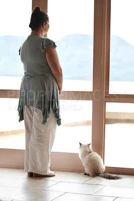 Buy stock photo A woman and her cat standing at a window and looking at the view