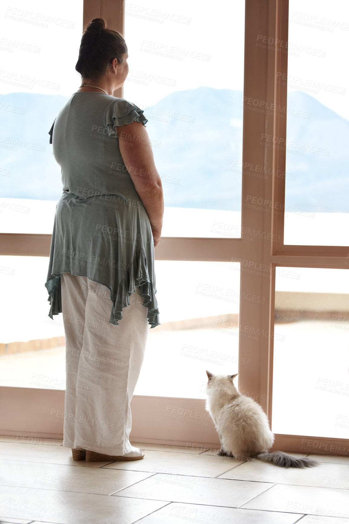 Buy stock photo A woman and her cat standing at a window and looking at the view
