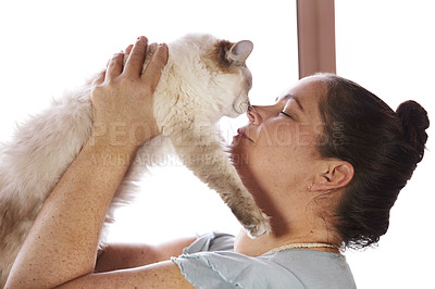 Buy stock photo A woman giving some affection to her pet cat